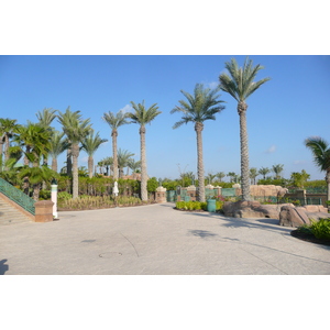 รูปถ่าย สหรัฐอาหรับเอมิเรตส์(United Arab Emirates) ดูไบ(Dubai) สวนน้ำอควาเวนเจอร์ ดูไบ(Dubai Aquaventure) 2009-01 120