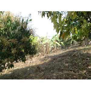 รูปถ่าย ไทย(Thailand) ปางมะผ้า(Pang Mapha) 2007-02 85