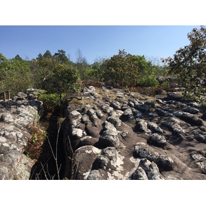 รูปถ่าย ไทย(Thailand) อุทยานแห่งชาติภูหินร่องกล้า(Phu Hin Rong Kla National Park) 2014-12 90