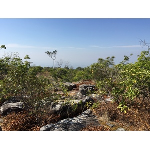 รูปถ่าย ไทย(Thailand) อุทยานแห่งชาติภูหินร่องกล้า(Phu Hin Rong Kla National Park) 2014-12 302
