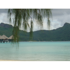 รูปถ่าย เฟรนช์โพลี่นีเซีย(Polynesia) โรงแรมเลอเมอริเดียน โบราโบรา(Meridien Bora Bora Hotel) 2006-04 130