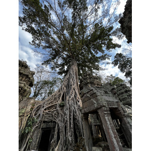 รูปถ่าย กัมพูชา(Cambodia) เสียมราฐ(Siem Reap) ปราสาทตาพรหม(Ta Prohm) 2023-01 27