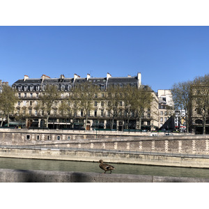 รูปถ่าย ฝรั่งเศส(France) ปารีสช่วงล็อกดาวน์(Paris lockdown) 2020-04 295