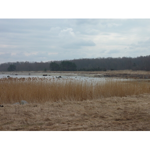 รูปถ่าย เอสโตเนีย(Estonia) ถนนจากทาลลินน์ไปฮาปซาลู(Tallinn to Haapsalu road) 2009-04 25