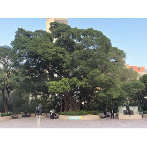 รูปถ่าย ฮ่องกง(Hong-Kong) จิมซาจุ่ย(Tsim Sha Tsui) 2026-01 3