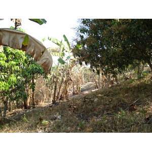 รูปถ่าย ไทย(Thailand) ปางมะผ้า(Pang Mapha) 2007-02 98