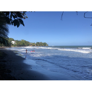 รูปถ่าย กวาเดอลูป(Guadeloupe) บานาเนีย(Bananier) 2021-02 15