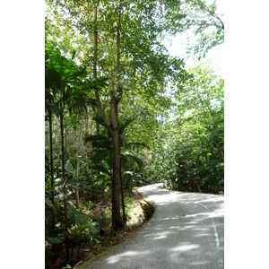 รูปถ่าย เซเชลส์(Seychelles) หุบเขาเดอไม(Vallee de Mai) 2011-10 35
