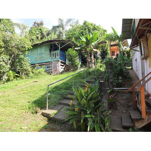 รูปถ่าย ปานามา(Panama) เกาะบาสติเมนโตส(Bastimentos) 2015-03 57
