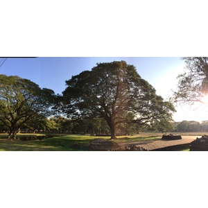 รูปถ่าย ไทย(Thailand) สุโขทัย(Sukhothai) 2014-12 46