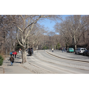 รูปถ่าย สหรัฐอเมริกา(United States) นิวยอร์ก(New York) เซ็นทรัลพาร์ก(Central Park) 2006-03 9