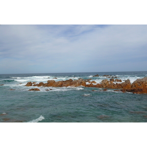 รูปถ่าย แอฟริกาใต้(South Africa) แหลมเซนต์เบลส(Cape St Blaise) 2008-09 7