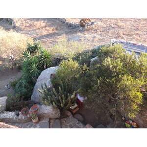 รูปถ่าย กรีก(Greece) เกาะมิโคนอส(Mykonos) 2014-07 295