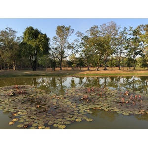 รูปถ่าย ไทย(Thailand) สุโขทัย(Sukhothai) 2014-12 73