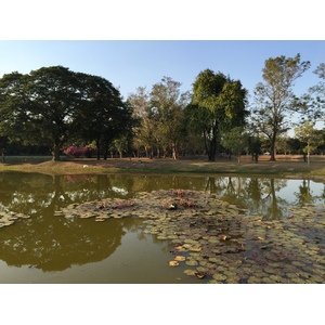 รูปถ่าย ไทย(Thailand) สุโขทัย(Sukhothai) 2014-12 20