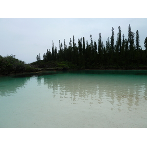รูปถ่าย นิวแคลิโดเนีย(New Caledonia) เกาะต้นสน(Ile des pins) อ่าวโอโร(Oro Bay) 2010-05 80
