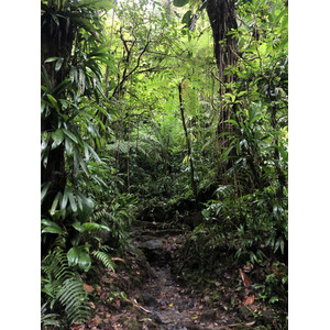 รูปถ่าย กวาเดอลูป(Guadeloupe) น้ำตกการ์เบ(Carbet Falls) 2021-02 5