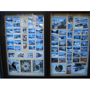 รูปถ่าย สวิสเซอร์แลนด์(Switzerland) ปองเทรซีน่า(Pontresina) 2007-01 30