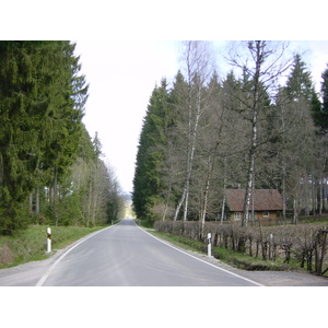 รูปถ่าย เยอรมนี(Germany) ป่าสนเขา(Black Forest) 2002-04 6