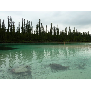 รูปถ่าย นิวแคลิโดเนีย(New Caledonia) เกาะต้นสน(Ile des pins) อ่าวโอโร(Oro Bay) 2010-05 32