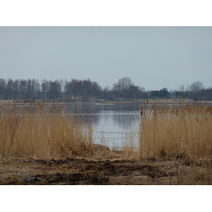 รูปถ่าย เอสโตเนีย(Estonia) ถนนจากทาลลินน์ไปฮาปซาลู(Tallinn to Haapsalu road) 2009-04 11