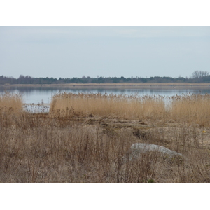 รูปถ่าย เอสโตเนีย(Estonia) ถนนจากทาลลินน์ไปฮาปซาลู(Tallinn to Haapsalu road) 2009-04 13
