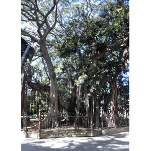 รูปถ่าย อิตาลี(Italy) ซิซิลี(Sicily) ปาแลร์โม(Palermo) 2020-02 168