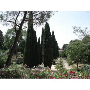 รูปถ่าย ฝรั่งเศส(France) มงเปลลีเยร์(Montpellier) 2006-06 75