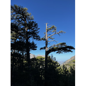 รูปถ่าย ฝรั่งเศส(France) คอร์สิคา(Corsica) ภูเขามอนเตชินโต(Monte Cinto) 2023-10 98