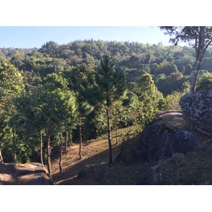 รูปถ่าย ไทย(Thailand) อุทยานแห่งชาติภูหินร่องกล้า(Phu Hin Rong Kla National Park) 2014-12 250