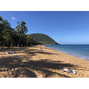รูปถ่าย กวาเดอลูป(Guadeloupe) หาดกร็องด์อ็องส์(Grande Hanse Beach) 2021-02 4