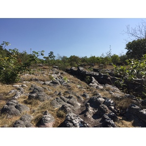 รูปถ่าย ไทย(Thailand) อุทยานแห่งชาติภูหินร่องกล้า(Phu Hin Rong Kla National Park) 2014-12 369