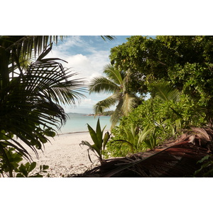 รูปถ่าย เซเชลส์(Seychelles) อ่าวอ็องส์ลาซิโอ(Anse Lazio) 2011-10 47