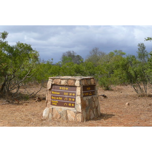 รูปถ่าย แอฟริกาใต้(South Africa) อุทยานแห่งชาติครูเกอร์(Kruger National Park) ถนนเลียบแม่น้ำครอกโคไดล์(Crocodile River road) 2008-09 51