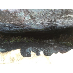 รูปถ่าย ไทย(Thailand) อุทยานแห่งชาติภูหินร่องกล้า(Phu Hin Rong Kla National Park) 2014-12 404