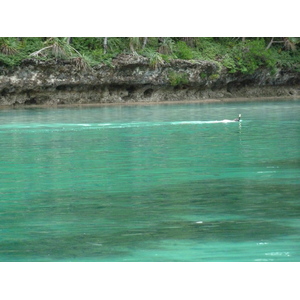 รูปถ่าย นิวแคลิโดเนีย(New Caledonia) เกาะต้นสน(Ile des pins) อ่าวโอโร(Oro Bay) 2010-05 69