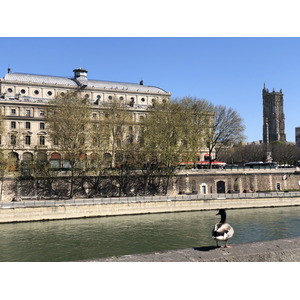 รูปถ่าย ฝรั่งเศส(France) ปารีสช่วงล็อกดาวน์(Paris lockdown) 2020-04 25