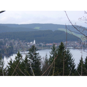 รูปถ่าย เยอรมนี(Germany) ป่าสนเขา(Black Forest) 2002-04 5
