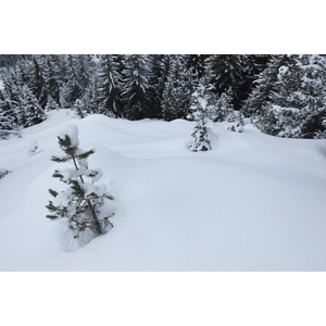 รูปถ่าย ฝรั่งเศส(France) เลทรัววาเล(Les 3 Vallees) 2013-03 252
