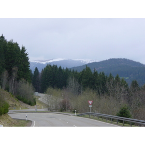 รูปถ่าย เยอรมนี(Germany) ป่าสนเขา(Black Forest) 2002-04 0