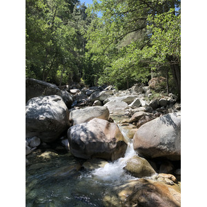 รูปถ่าย ฝรั่งเศส(France) คอร์สิคา(Corsica) หุบเขาลาเรสโตนีกา(La Restonica) 2020-07 64