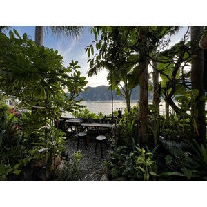 รูปถ่าย ไทย(Thailand) เกาะพีพีดอน(Ko Phi Phi Don) 2021-12 124
