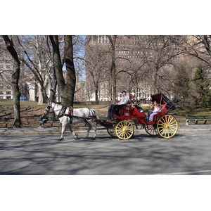 รูปถ่าย สหรัฐอเมริกา(United States) นิวยอร์ก(New York) เซ็นทรัลพาร์ก(Central Park) 2006-03 28
