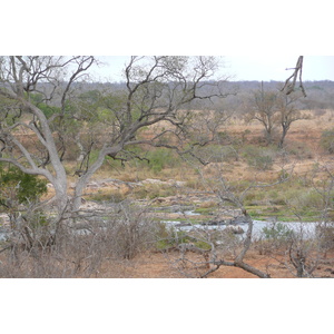 รูปถ่าย แอฟริกาใต้(South Africa) อุทยานแห่งชาติครูเกอร์(Kruger National Park) แม่น้ำครอกโคไดล์(Crocodile River) 2008-09 67