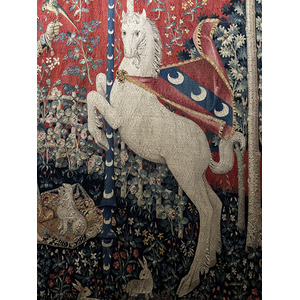รูปถ่าย ฝรั่งเศส(France) ปารีส(Paris) พิพิธภัณฑ์กลูนี(Cluny Museum) 2023-02 25