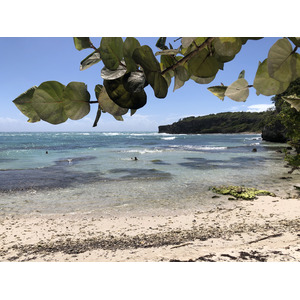 รูปถ่าย กวาเดอลูป(Guadeloupe) แหลมคาสเซิลพอยต์(Castle Point) 2021-02 78