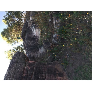 รูปถ่าย ไทย(Thailand) อุทยานแห่งชาติภูหินร่องกล้า(Phu Hin Rong Kla National Park) 2014-12 219