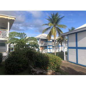 รูปถ่าย กวาเดอลูป(Guadeloupe) โรงแรมเลอมันกานาโอ(Le Manganao Hotel) 2021-02 68