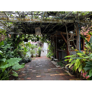 รูปถ่าย ไทย(Thailand) เกาะลันตา(Ko Lanta) 2023-01 10