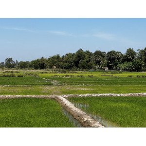 รูปถ่าย กัมพูชา(Cambodia) เสียมราฐ(Siem Reap) 2023-01 155